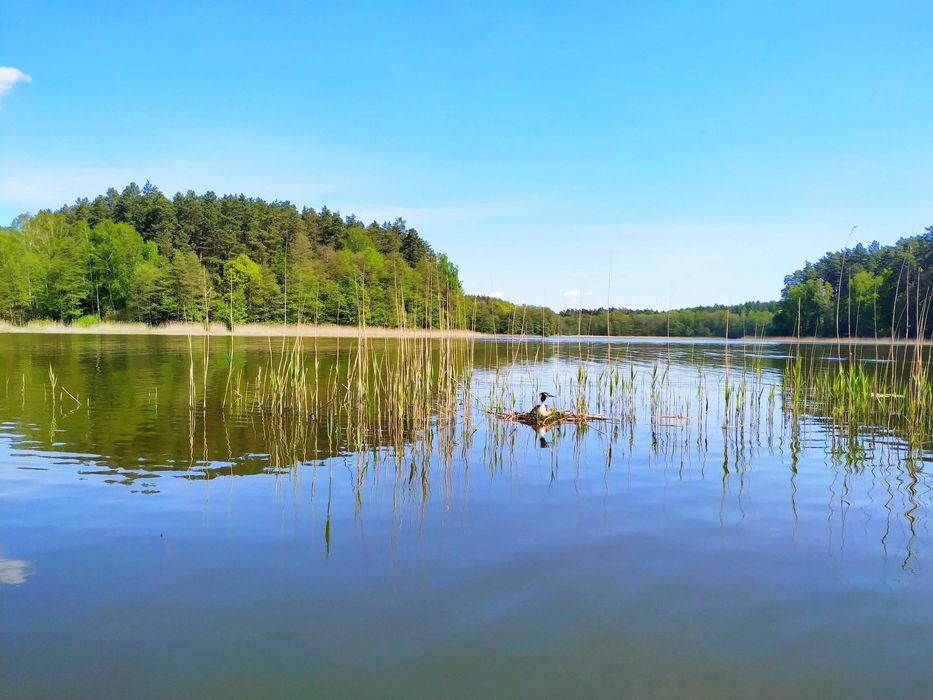 LakeHouse Iława. Dom z linią brzegową na wynajem.