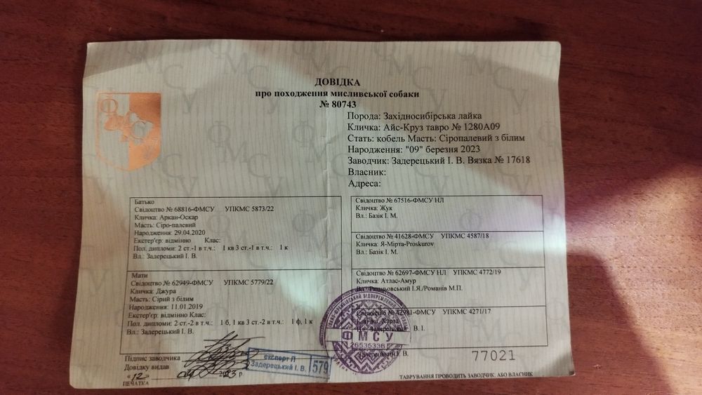 Продам собаку лайку