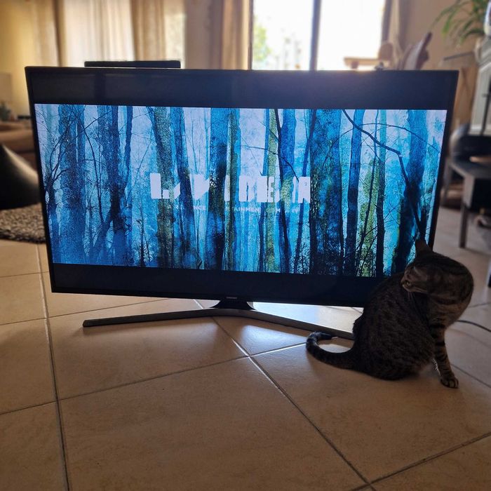 TV LED samsung 49'' 4K