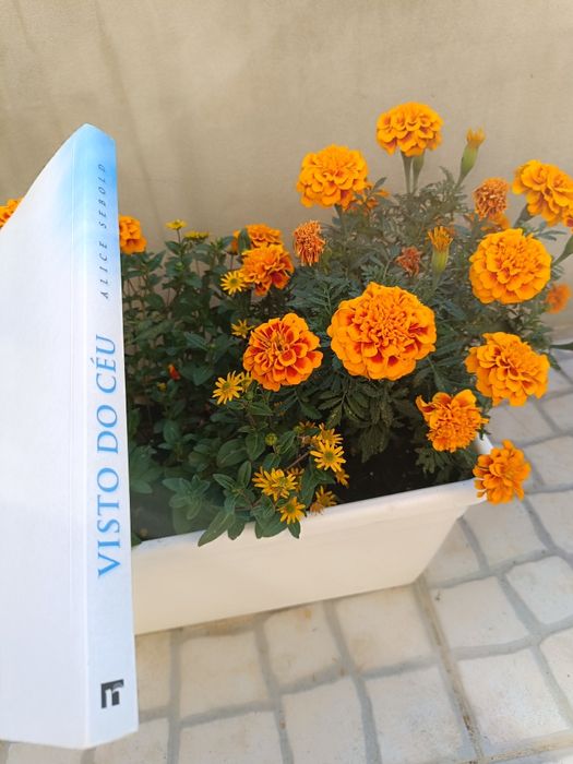 Visto do Céu - Alice Sebold