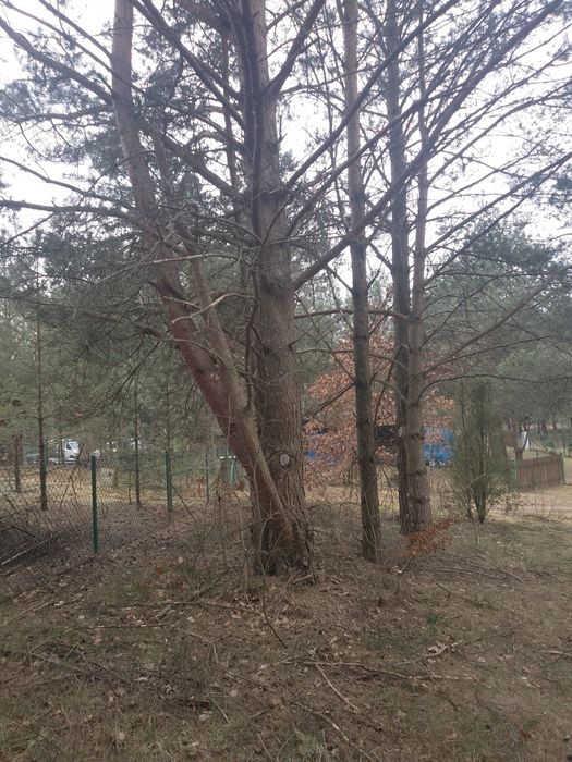 Działka koło rzeki Wda