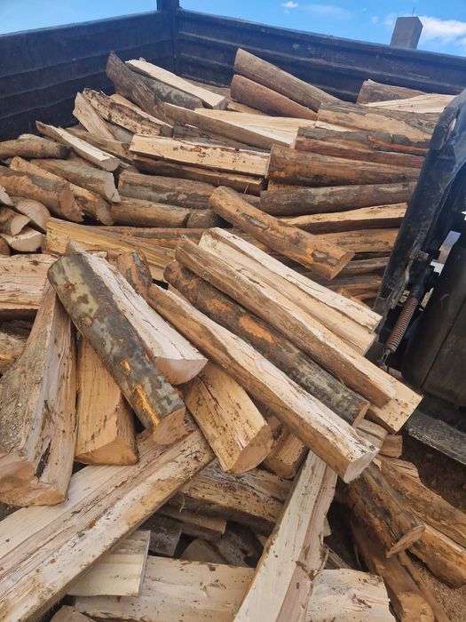 Дрова бук береза вільха