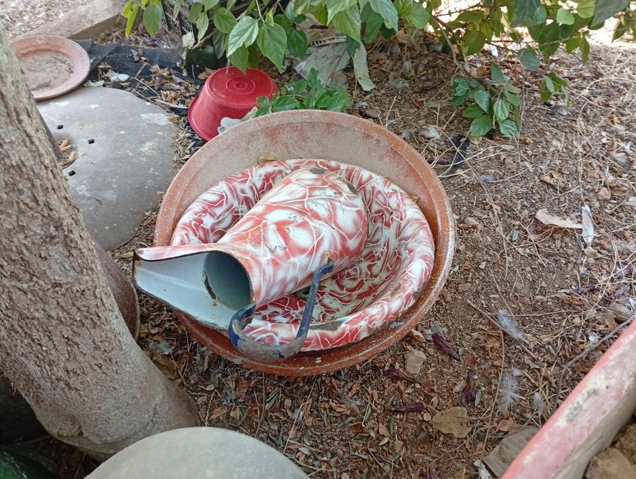 Velharias , potes , cântaros