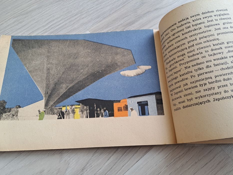 Przyroda uczy budować Witold Szolginia PRL