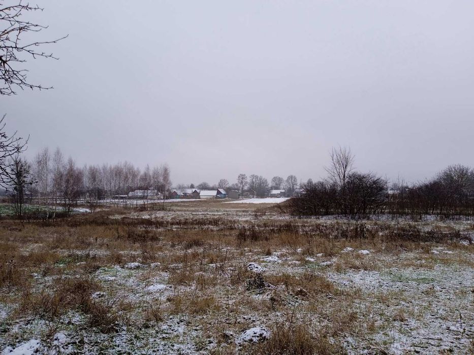 Продам будинок і земельну ділянку у с.Троковичі (16 км від Житомира).