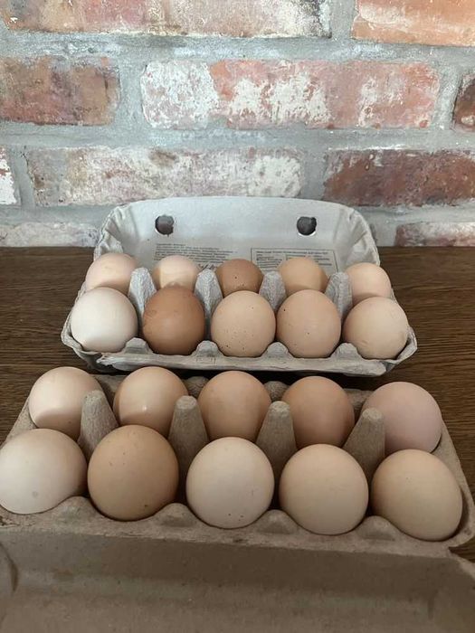 Jaja wiejskie z wolnego wybiegu