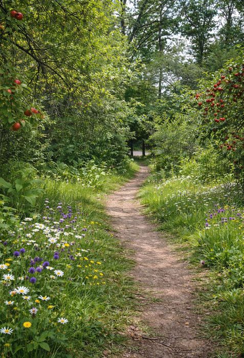 Дача / будинок з ділянкою в Умані | СТ «Ветеран» | під забудову