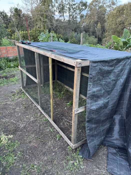 Galinheiro - Viveiro