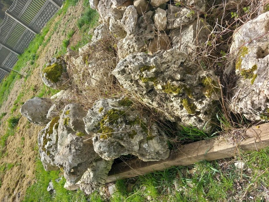 Kamień na skalniak – kamienie ozdobne ogrodowe naturalne