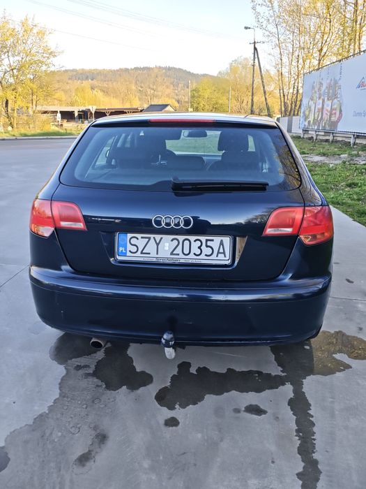 Audi A3 8P, 1.6 benzyna