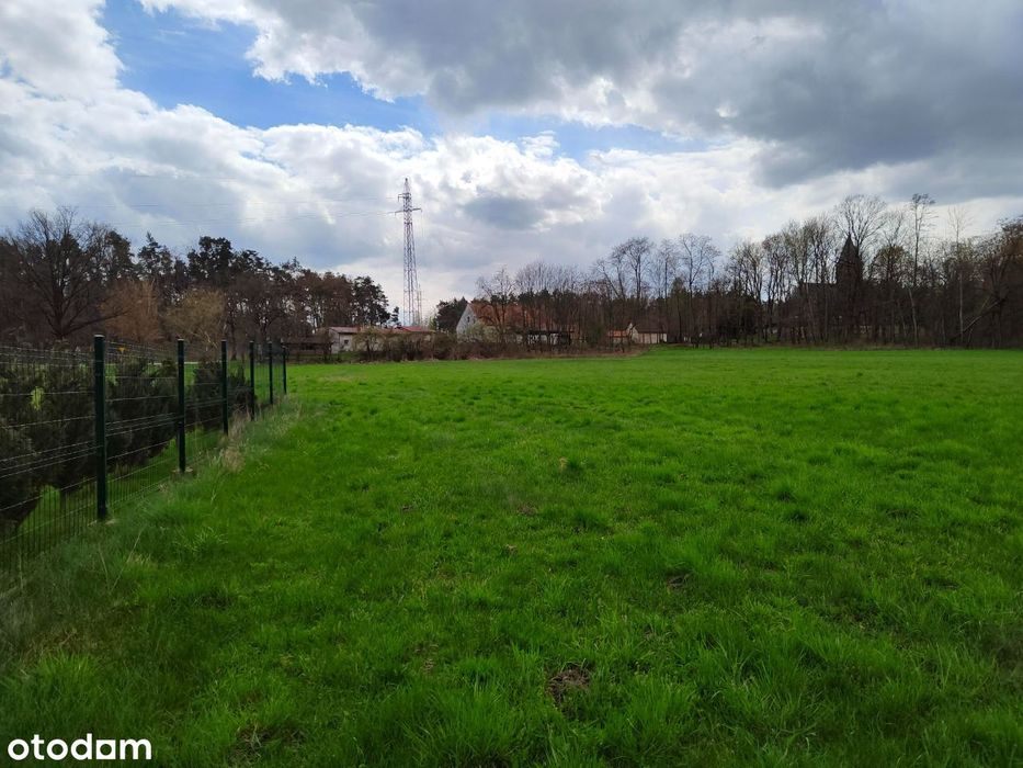 Sprzedam działki budowlane - Przedborów