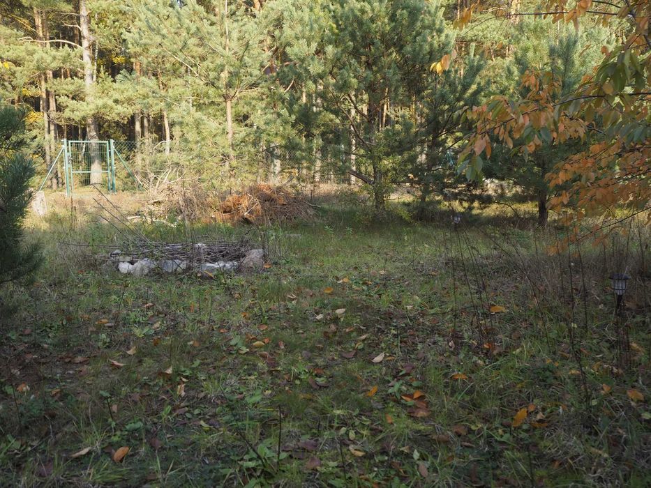 Dzikowo Chrapy działka przy lesie z warunkami zabudowy - uzbrojona i ogrodzona – pohled 6