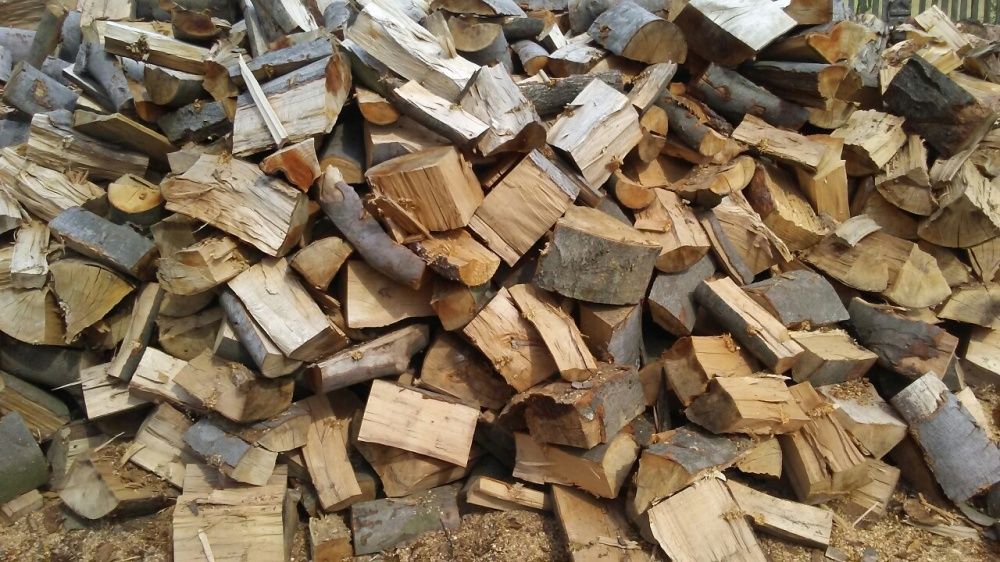 drewno kominkowe i opalowe