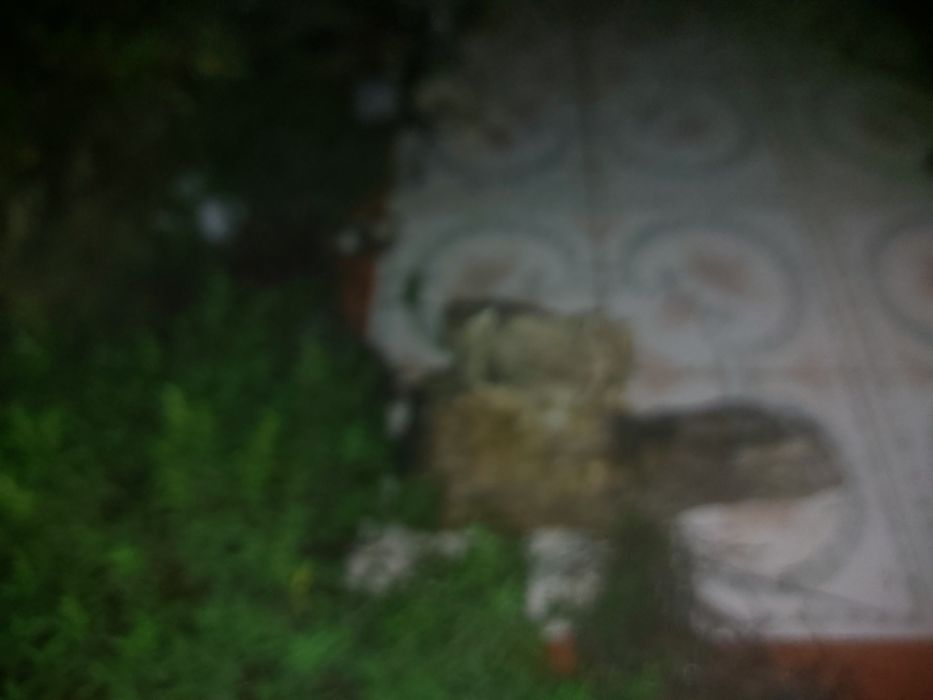 Pedras vidro transparentes naturais.