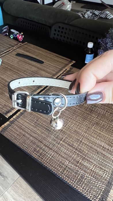 Ошейник для кота или собаки