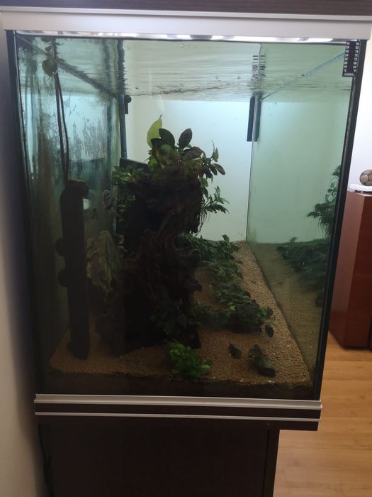 Aquário 400L de água quente completo