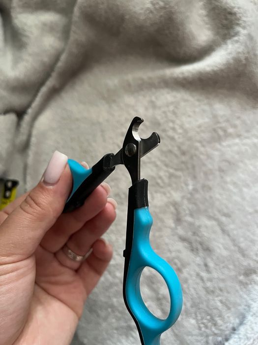 Кігтерізка для гризунів/котиків/невеликих песиків б/у