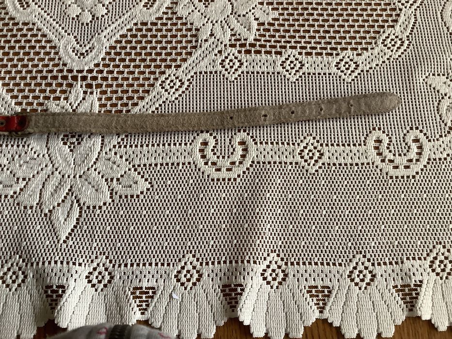 Obroża dla psa używana