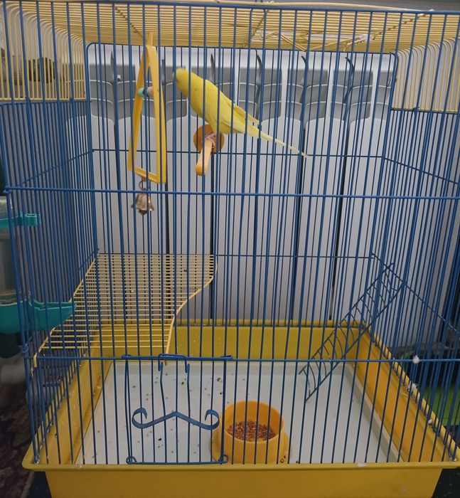 Продам клітку для папуги