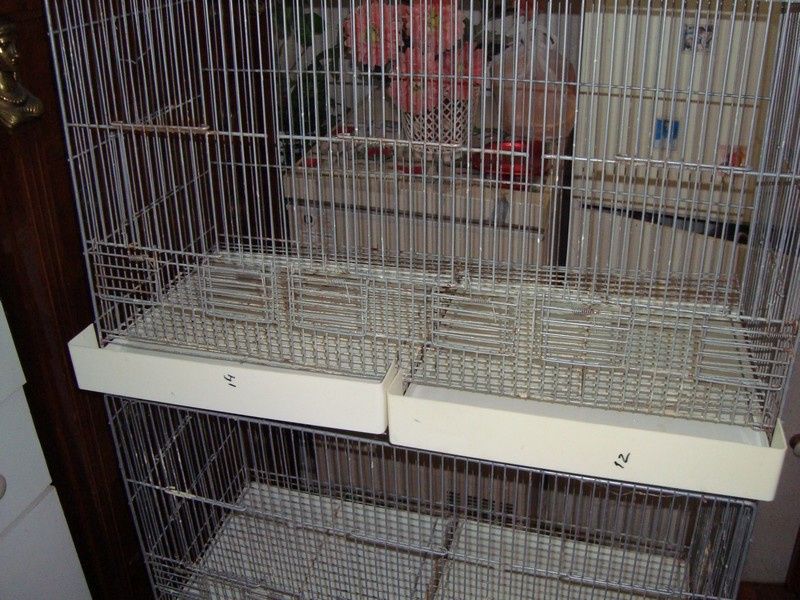 Viveiros médios duplos em bom estado.