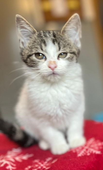 Kochana Patoka czeka tutaj na Ciebie !