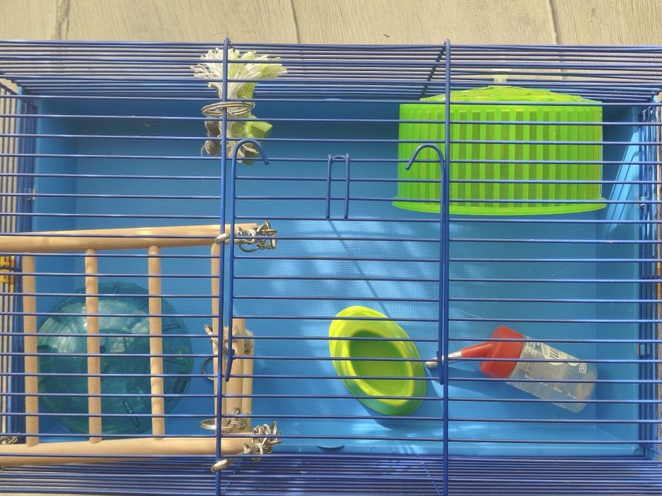 Klatka dla chomika+ kula