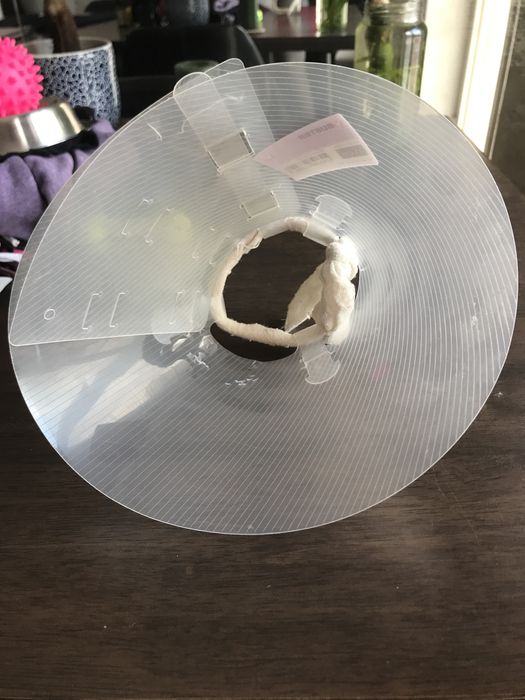 Vários acessórios/produtos/roupa/comida e brinquedos p/ cães e gatos