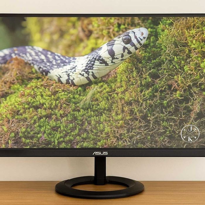 Monitor Asus VZ249HEG 60HZ