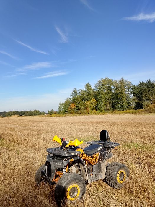 Quad Barton Raptor