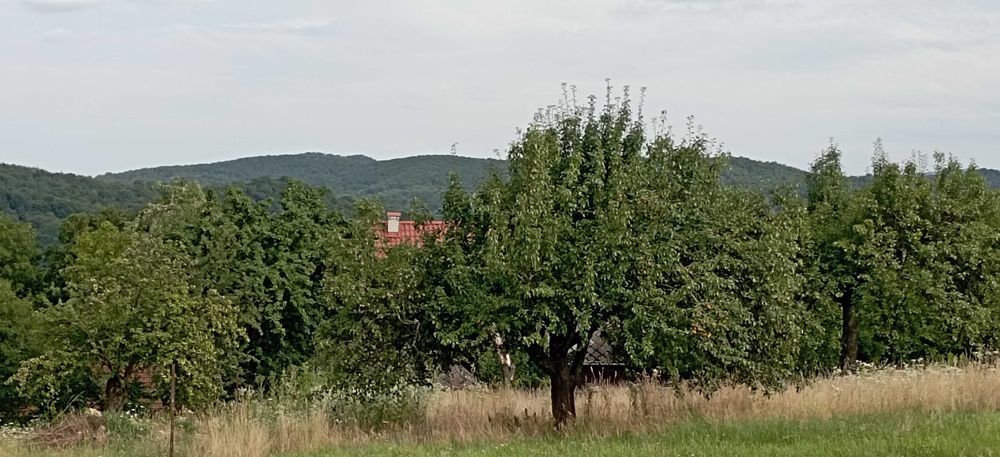 Ціну змінено. Продаємо будинок село Солочин з чудовим видом на К