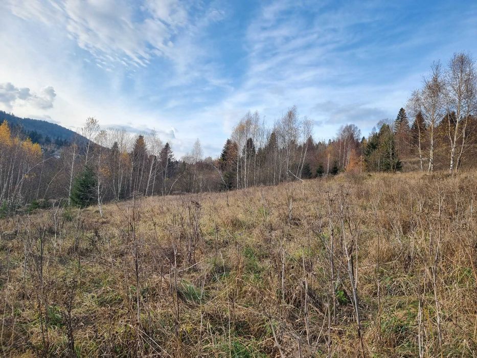 Продаж земельна ділянка 20 сот. вул. Князя Святослава с. Орявчик