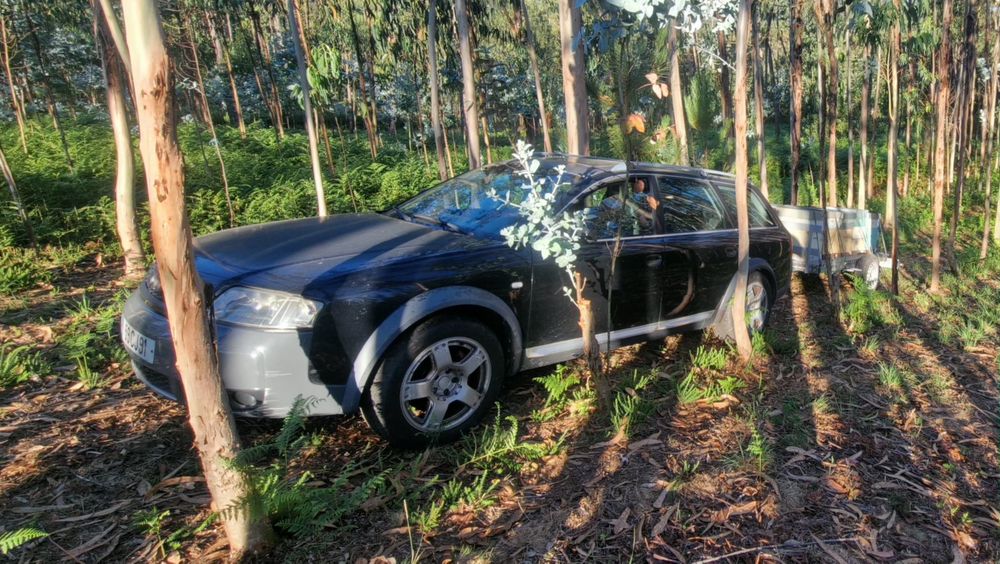 Audi A6 Allroad 2.5 TDI V6 Quattro (180cv)