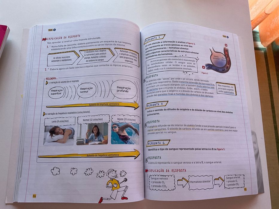 Testes estou preparado 9 ano