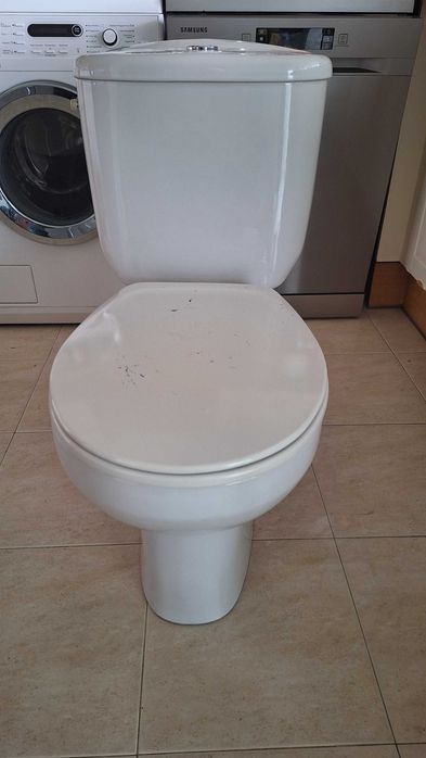 Sanita com autoclismo roca