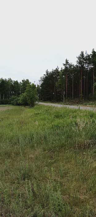 Sprzedam działkę gmina Łabiszyn - Widok 2