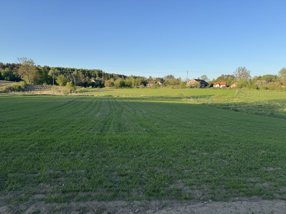 Budynek mieszkalny+budynek gospodarczy 3,3 ha ziemi ( bezterminowe WZ)