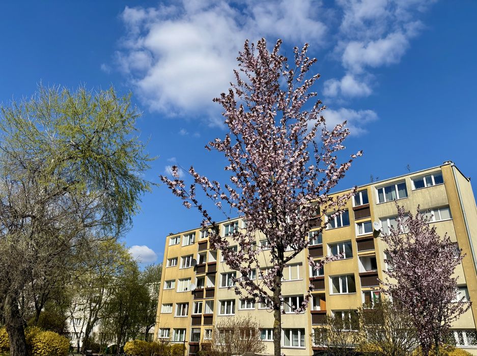 Saska Kępa, Brazylijska 3