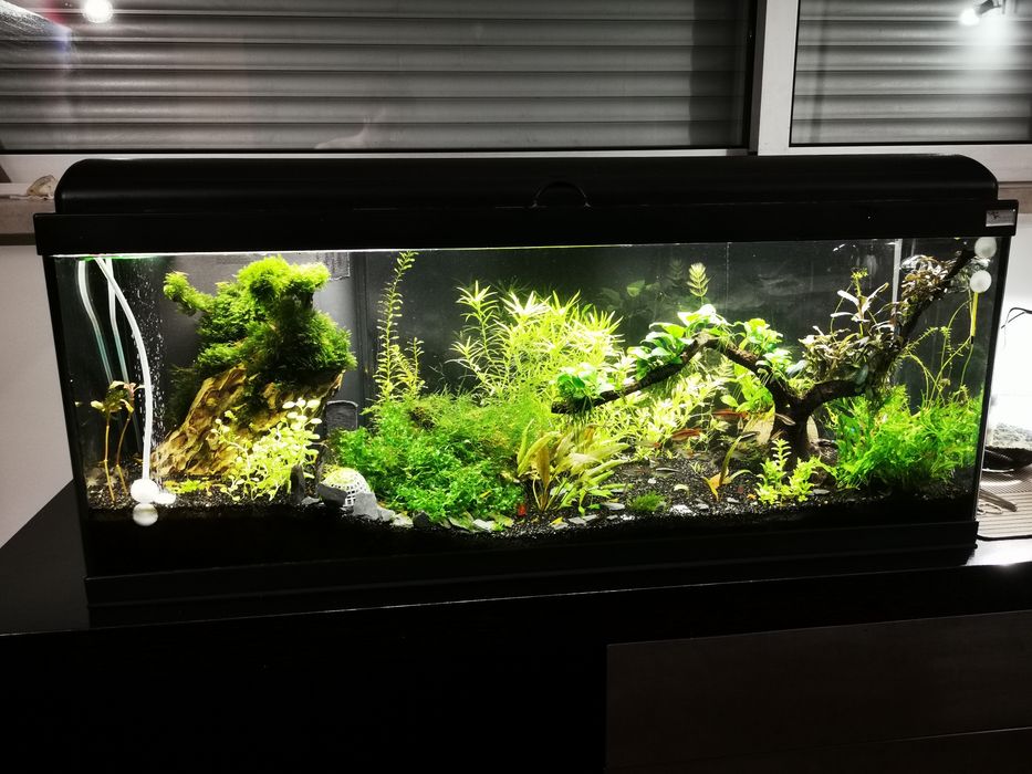Aquário Aqualantis 120litros