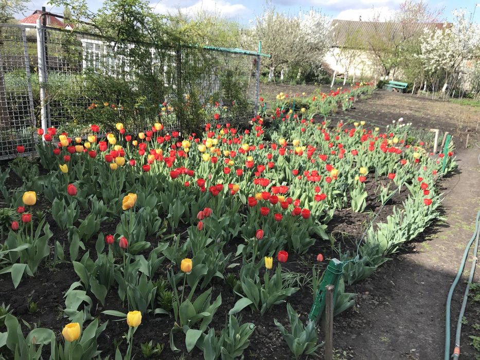 Продається будинок