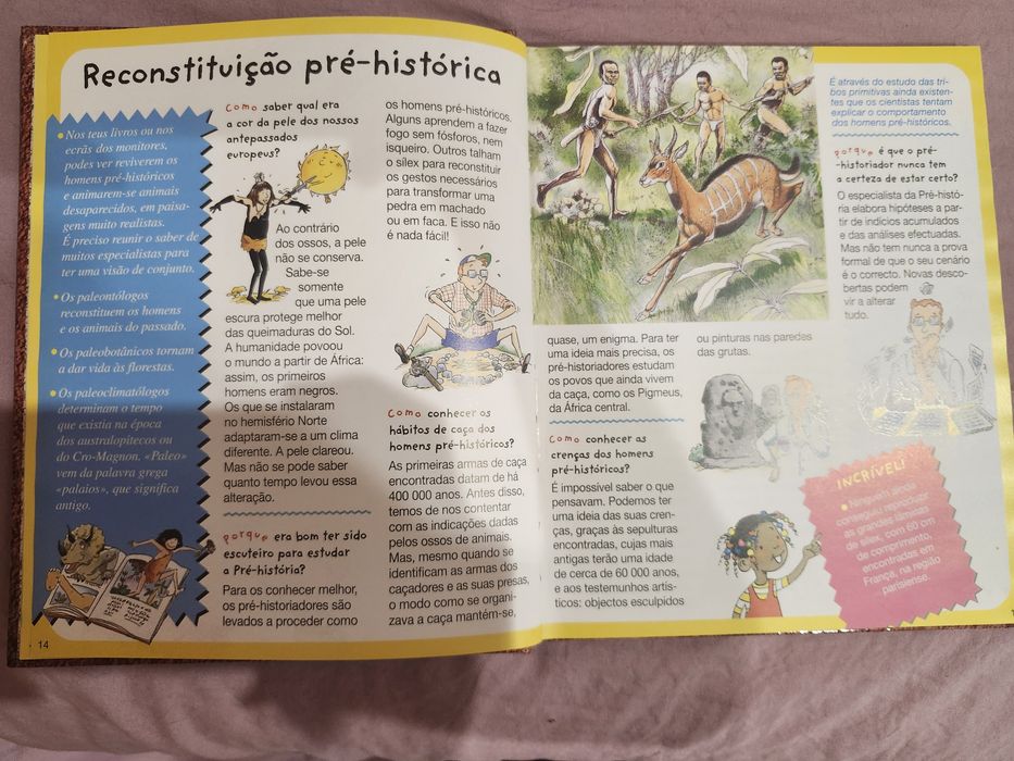 Livro da pré-história