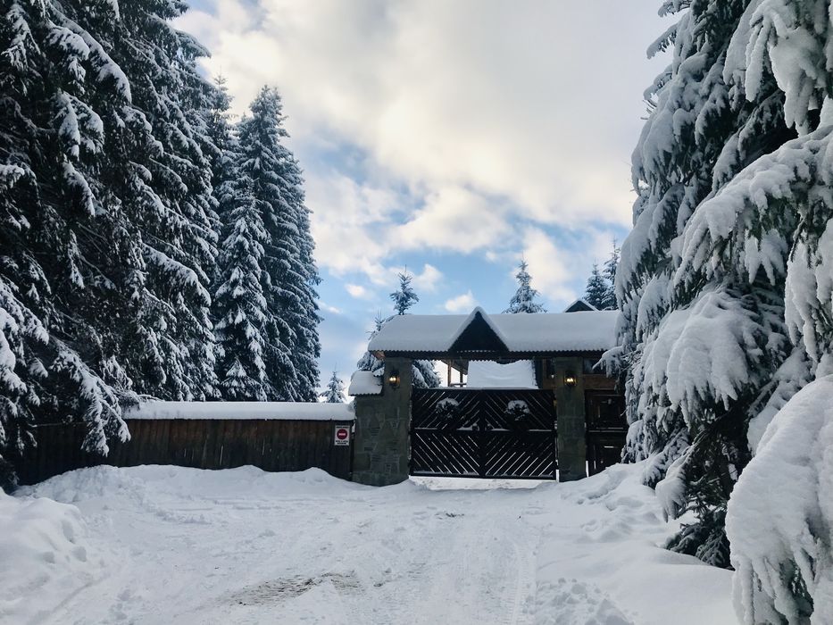 Затишний котедж для відпочинку біля самого лісу на 6+2 гостей