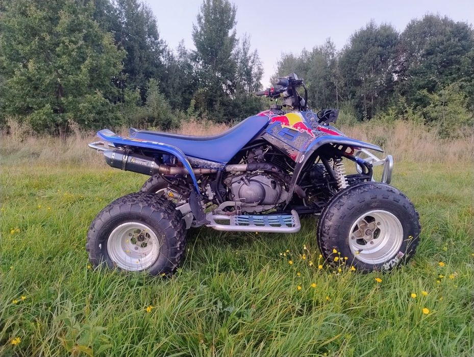 Yamaha warrior 350