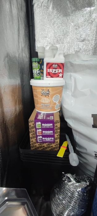 Kit Grow Económico de Cultivo  interior indoor completo