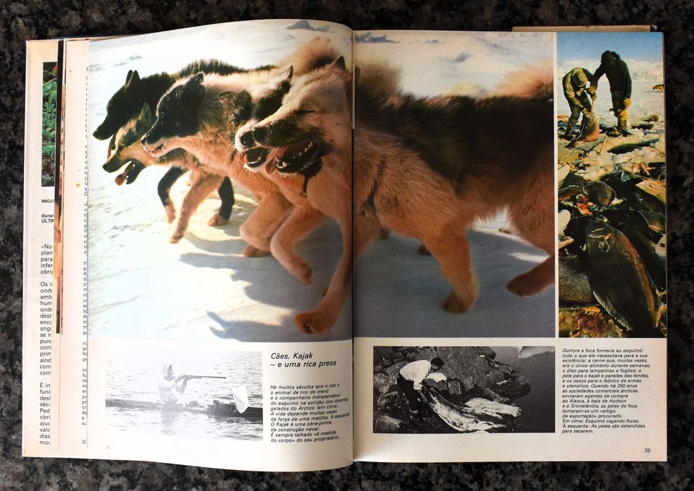 Heinrich Harrer - Os Últimos Paraísos do Homem