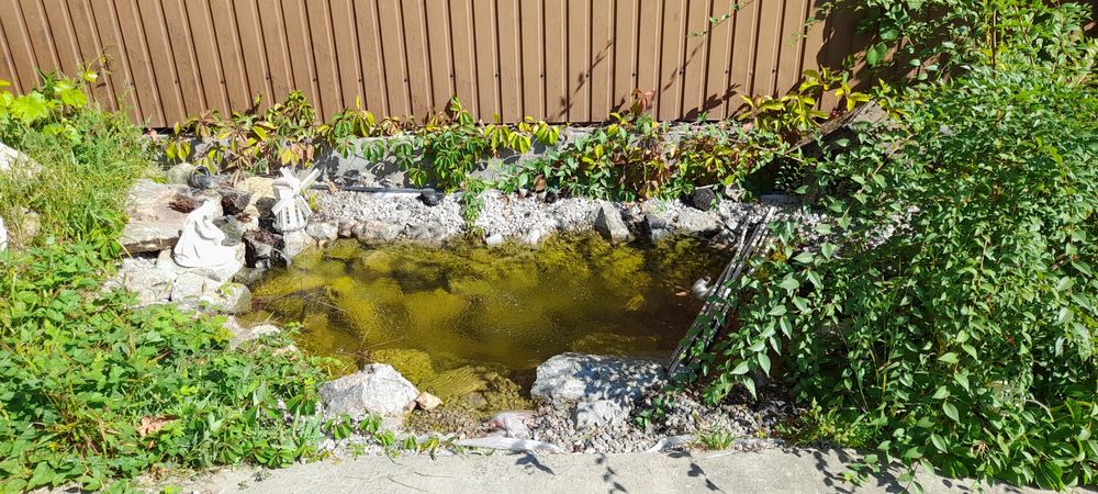 Дом с бассейном.