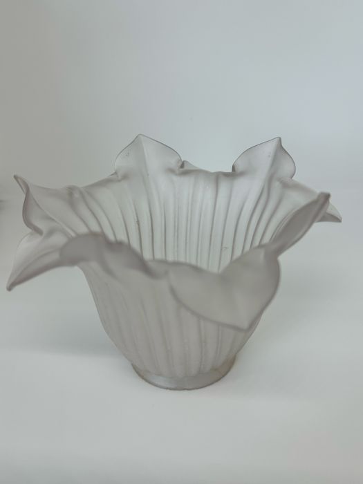 Globo de vidro tulipa