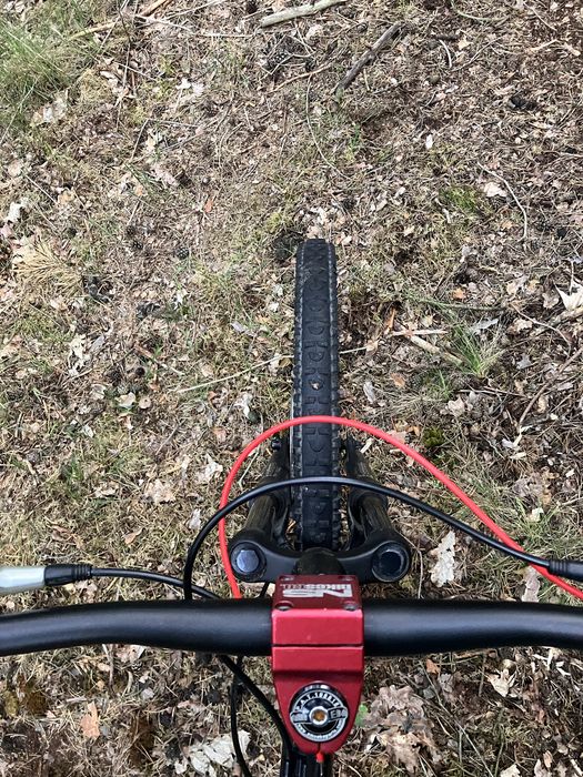 Rower  MTB custom