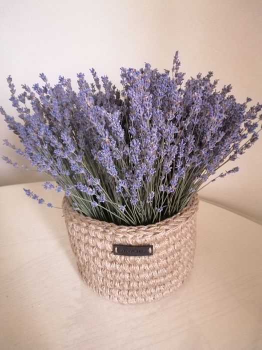 Лаванда сухоцвіт