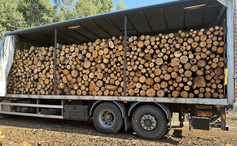 Дрова колотые , дубовые !