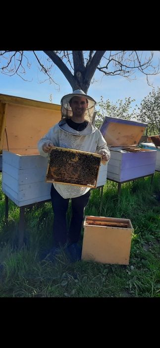 Бджолопакети пчелопакеты 2026